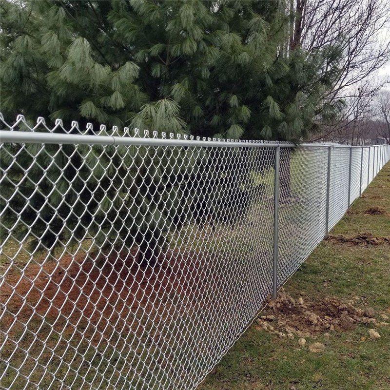 Galvanized & PVC Coated Chain Link Fence (5ft x 10m)